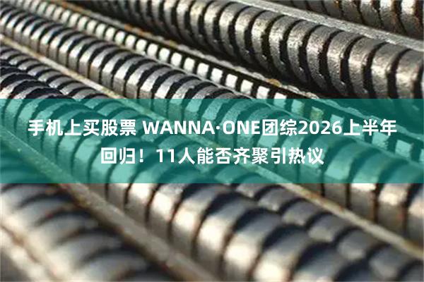 手机上买股票 WANNA·ONE团综2026上半年回归！11人能否齐聚引热议