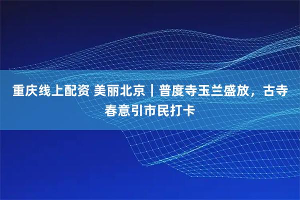 重庆线上配资 美丽北京｜普度寺玉兰盛放，古寺春意引市民打卡